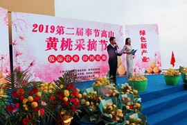 来璐此号不用了主播照片