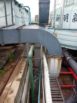 青春已逝，如何放肆主播照片