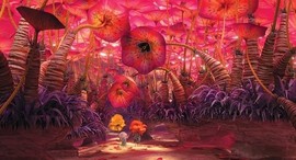 横而不流主播照片