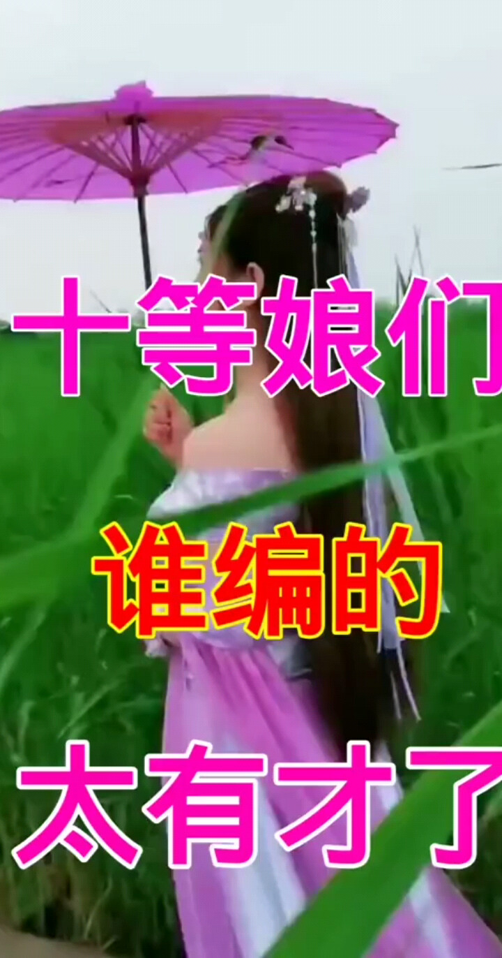 十等娘们
