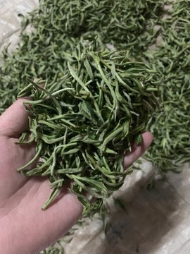 糖糖的甜甜主播照片