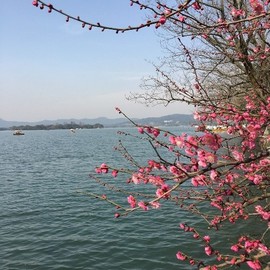 梦想成真♛主播照片