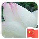 熊wsc的头像