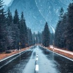 心怡雨飞