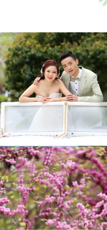 回头在看看的图片