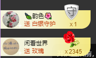 海鸽晚上见主播照片