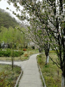 ご芡吻旳唇ご主播照片