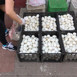 新人21😌主播照片