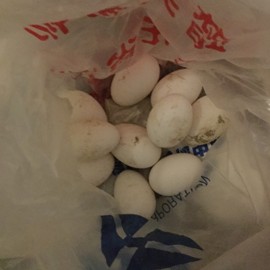 新人21😌主播照片