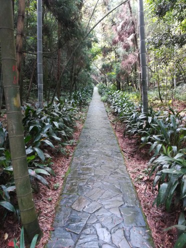 花无缺｀的主播照片