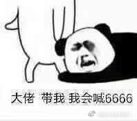 一只小绵羊咩主播照片