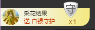 海鸽晚上见主播照片