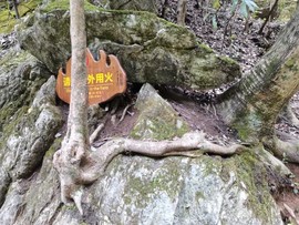 江南好泳歌主播照片