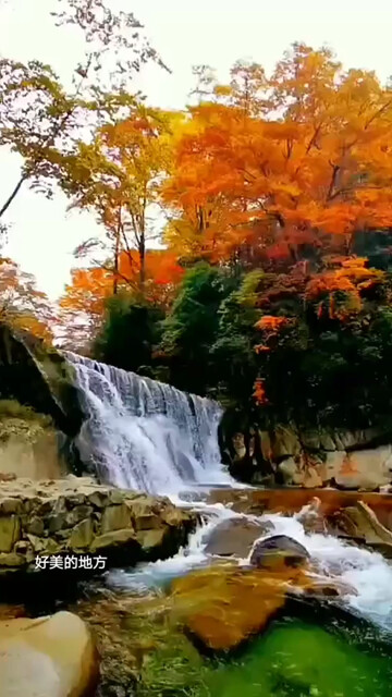 青山绿水，鸟语花香，人间美景，