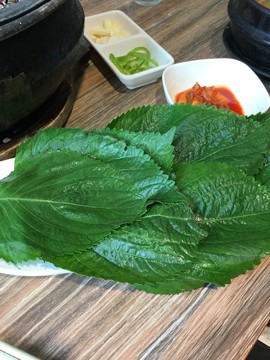 新人21😌主播照片