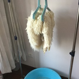 新人21😌主播照片