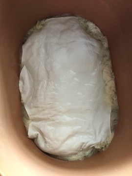 新人21😌主播照片