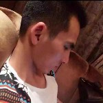 何处不安然q