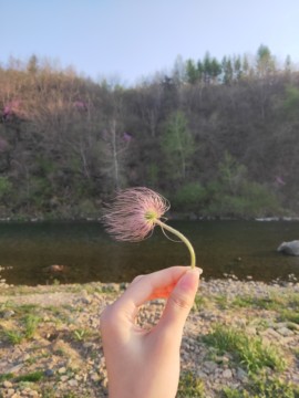 ღ瑋玮主播照片