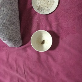 新人21😌主播照片