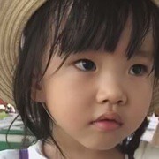 玫瑰情人泪
