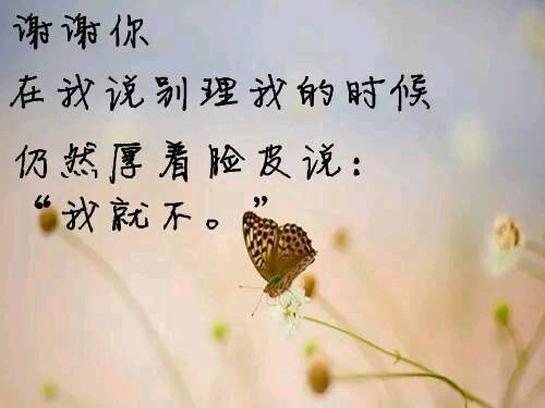 🌸妖妖🌸的主播照片