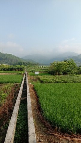 隨風的沙主播照片