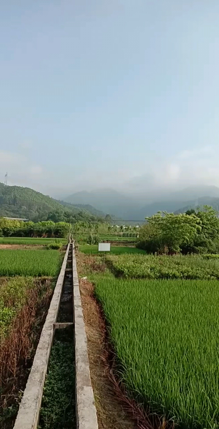 山清水秀，风景不错！