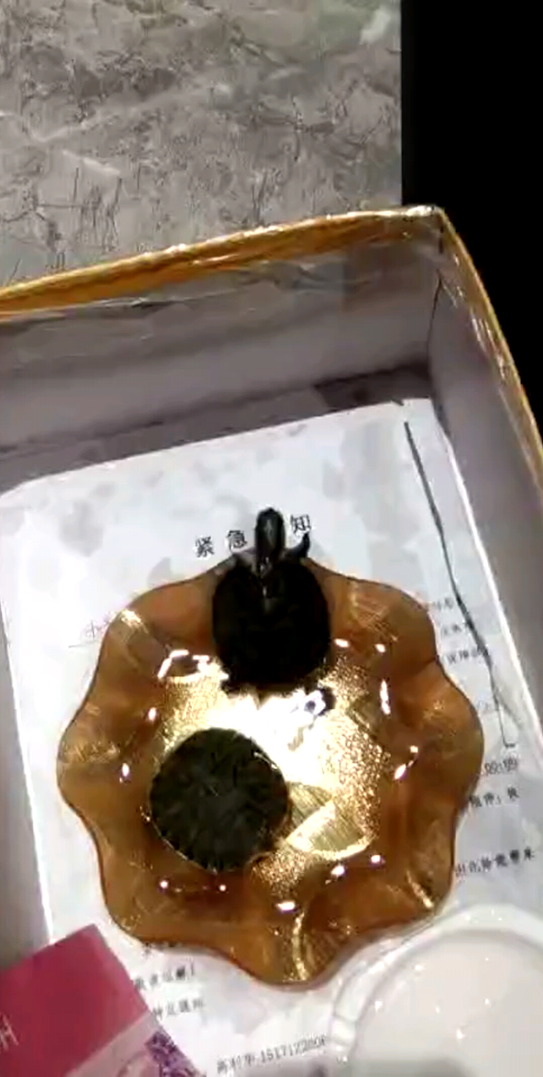 上班無聊玩下龜龜