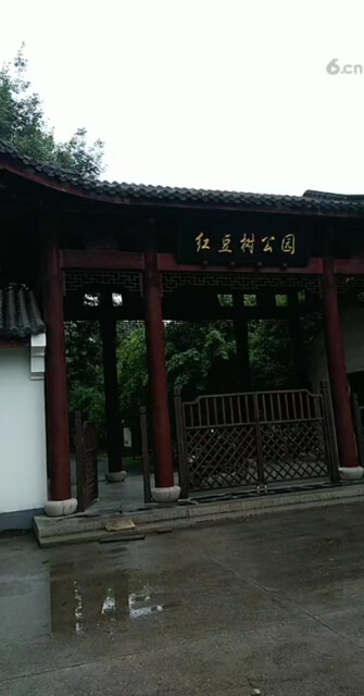 红豆树公园