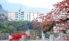 真言叔叔相约在怒江主播照片