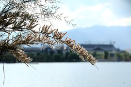 真言叔叔相约在怒江主播照片