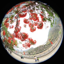 真言叔叔相约在怒江主播照片