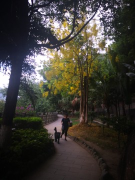 真言叔叔相约在怒江主播照片
