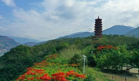 真言叔叔相约在怒江主播照片