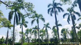 菲雅❤众筹升个宝主播照片