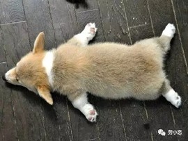 萌萌哒猎手主播照片