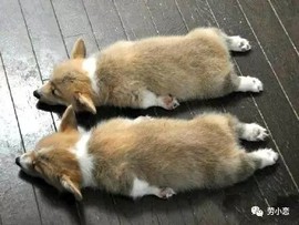 萌萌哒猎手主播照片