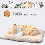 ♥黑西装♥