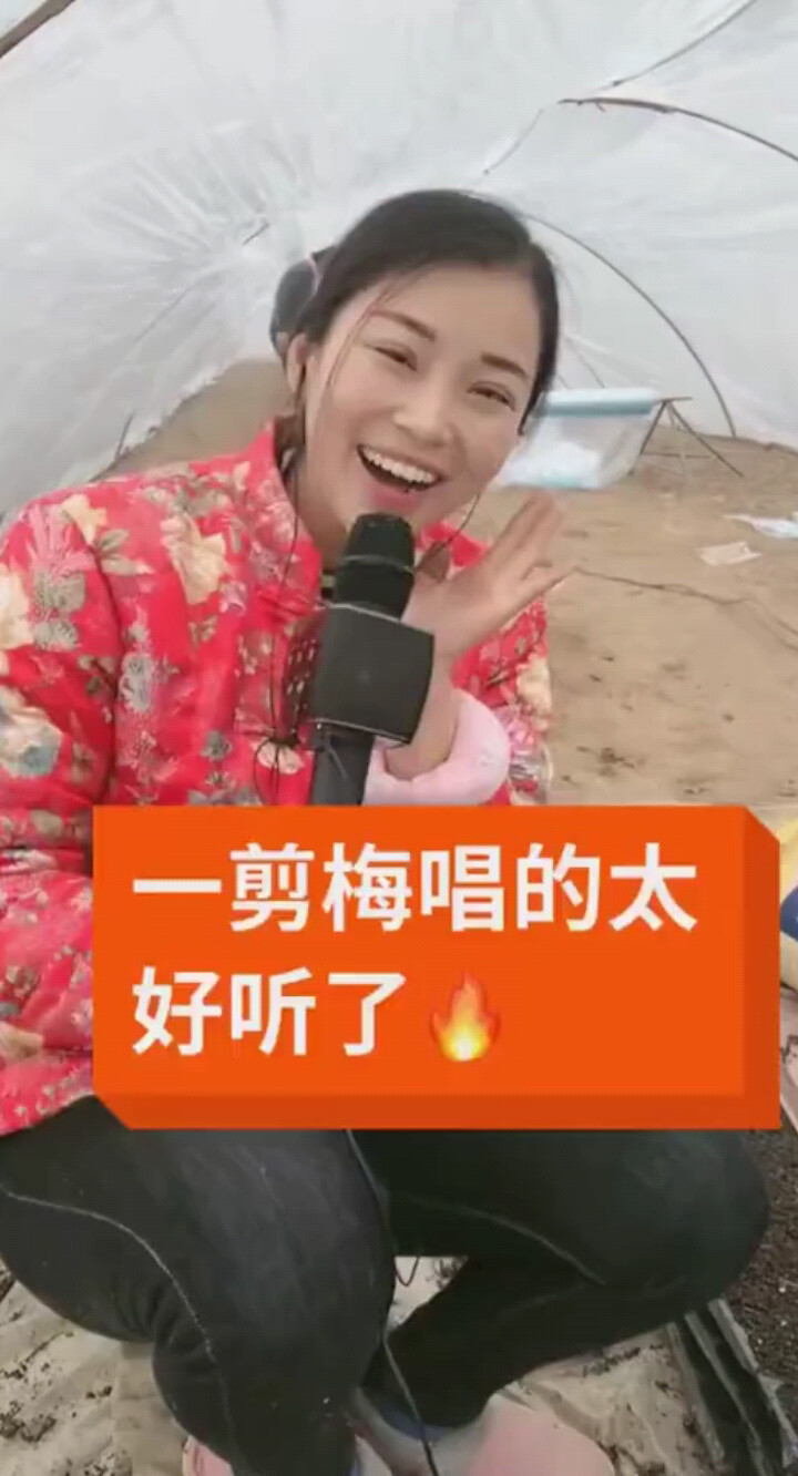 一剪梅