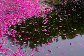 刘虚舟主播照片