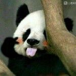 福兴祥便民超市主播照片