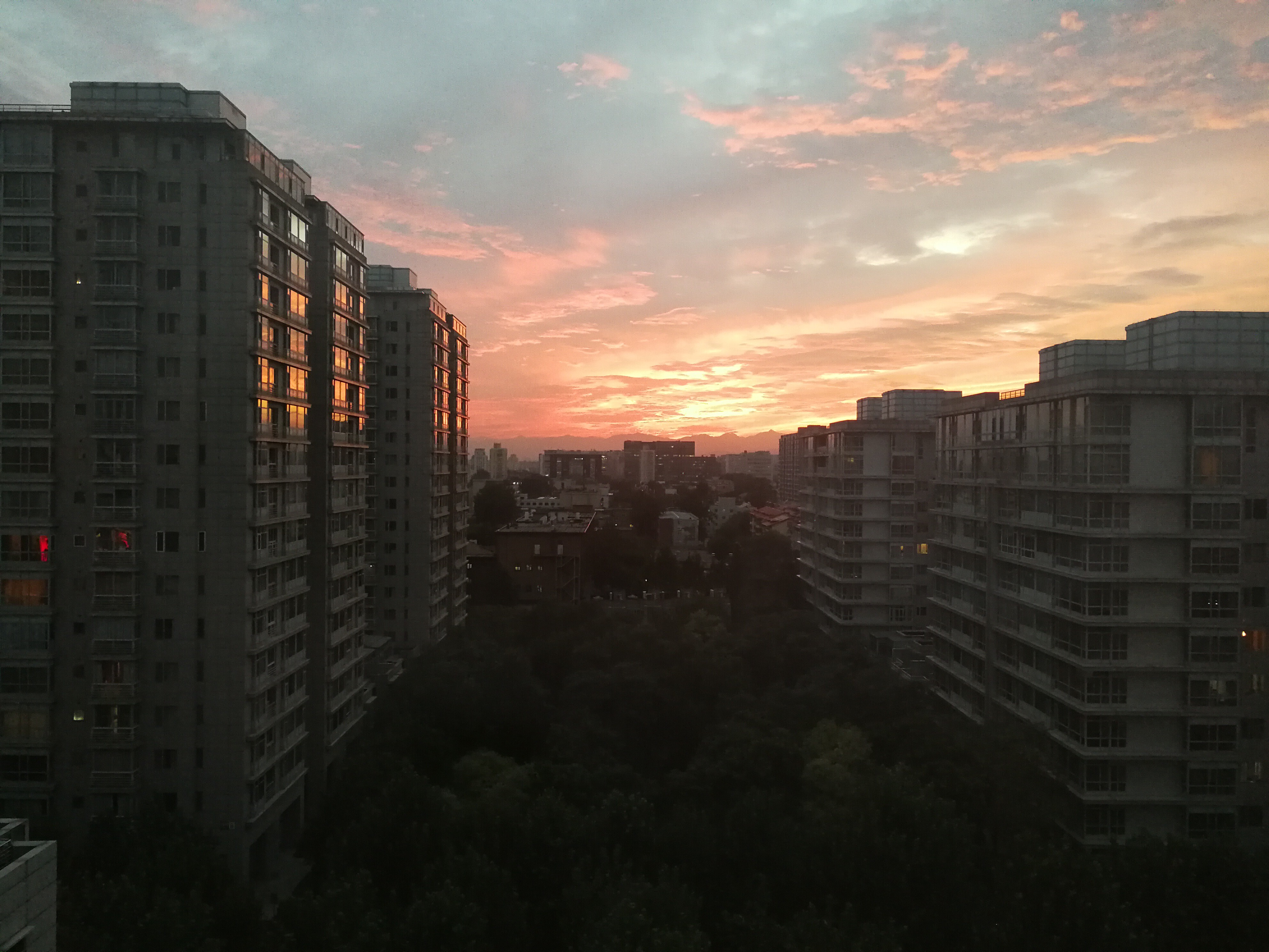 stardusybW的主播照片