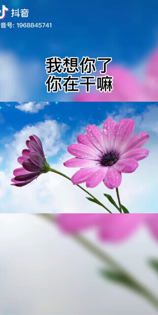 晚安。。