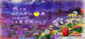 Ｄ过路人主播照片