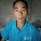 小秦xa