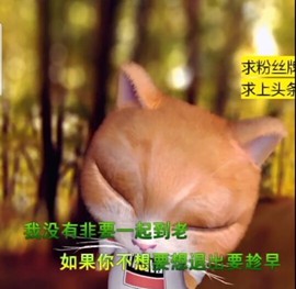 萌萌哒猎手主播照片