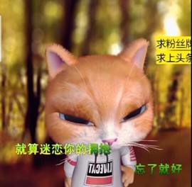 萌萌哒猎手主播照片