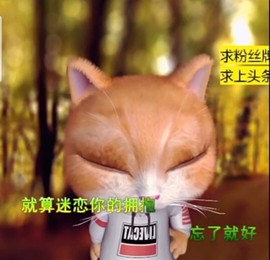 萌萌哒猎手主播照片
