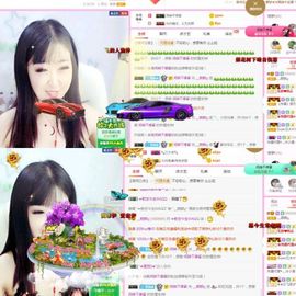 一只雁~主播照片